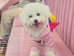 -茉莉餐厅(包河万达店)