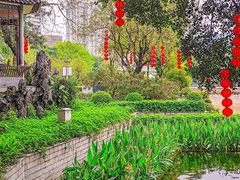 -荔湾湖公园