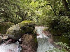 -西岭雪山大飞水景区