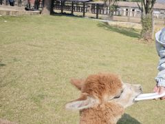 -南京金牛湖风景区