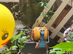 -鱼乐岛餐厅·户外花园主题餐厅