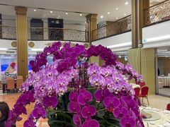 -御同亨酒楼·喜宴