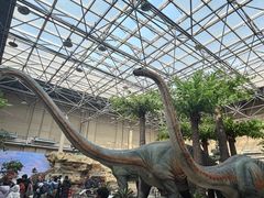 -国家自然博物馆