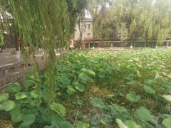 -四川大学(望江校区)