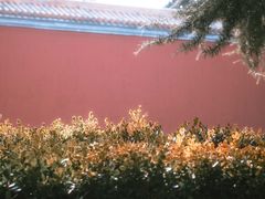 -北京市劳动人民文化宫(太庙)