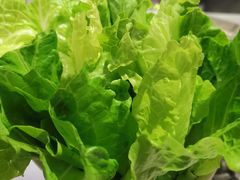 生菜-海银海记牛肉火锅(解放路店)