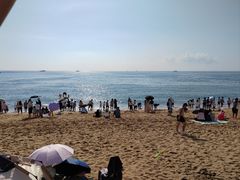 -日照海滨国家森林公园