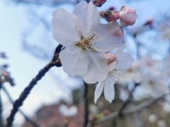 -上海植物园-4号门售票处