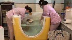点击看大图 -莲生母婴月子中心(清水河公园店)