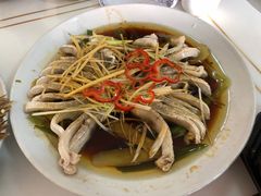 清蒸狗鱼-煲来饱去冷水鱼