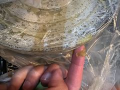 -湘芙蓉·湖南菜(椒江店)