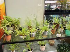 -813芭依珊 BAESAn(皇冠十畝地店)