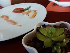 -万豪咖啡厅(JW万豪酒店店)