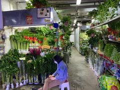 -花鸟鱼虫鲜花绿植市场(玉泉路店)