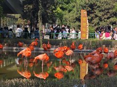 -石家庄市动物园