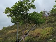 -白石龙音乐公园