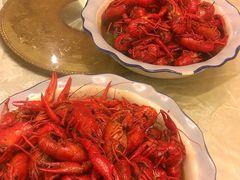 一字排开的龙虾，哇哈哈！-丁老爷子苏香圆