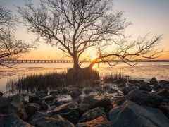 -宝安西湾红树林湿地公园