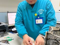 -中农国际动物医院24小时·猫科·骨科·急重症中心