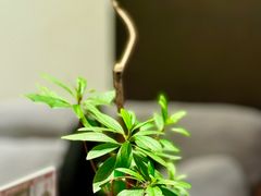 -湖滨客舍·湖北菜
