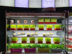 -番食园鲜食火锅(高新店)