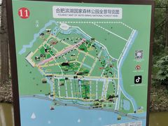 -合肥滨湖国家森林公园