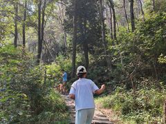 -青龙山国家森林公园