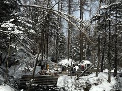 -峡谷浮石林景区