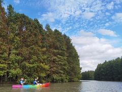 -上海海湾国家森林公园