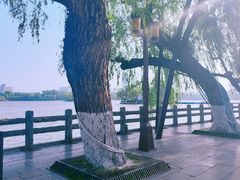 -济南大明湖景区