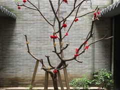 -归觅·西关小姐人文艺术馆(荔枝湾店)