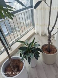 -HEYAN荷妍专业脱毛连锁机构