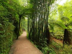 -四洞沟景区