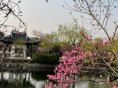 -无锡蠡湖国家湿地公园-蠡园