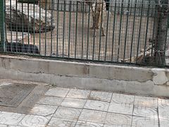 -保定市动物园