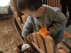 -藦茜花园宠物主题亲子互动体验馆(国顺东路店)
