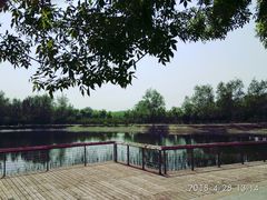 -永定河休闲森林公园