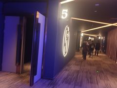 -万象影城(石家庄万象城IMAX激光店)