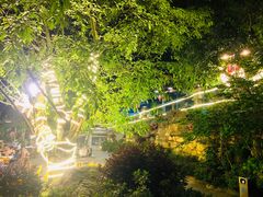 -老幺泉水鸡