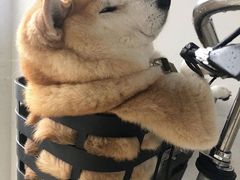 -星巴克臻选(成都环球乐天店)