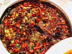 -老酒川菜坊(总店)