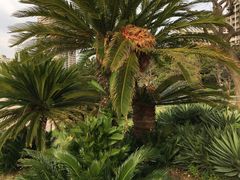 -台场海滨公园船码头