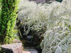 -中国茶叶博物馆(双峰馆区)