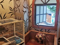 -熠盛·本帮菜Bistro(永嘉路店)