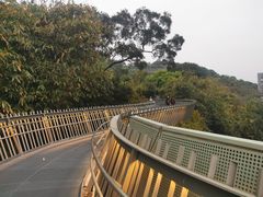 -福道