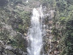 -鼎湖山风景区