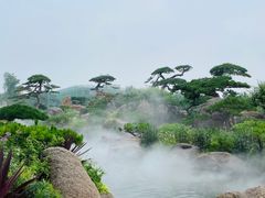 -罗红摄影艺术馆