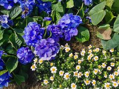 -中国天府农业博览园