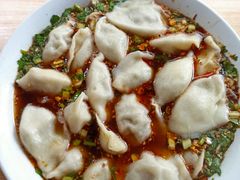 牛肉韭黄饺子-尤素福东举院饺子馆