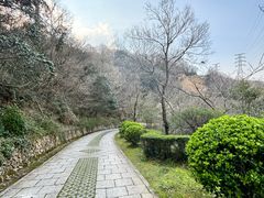 -青龙山公园